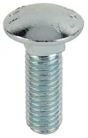 Carriage Bolt